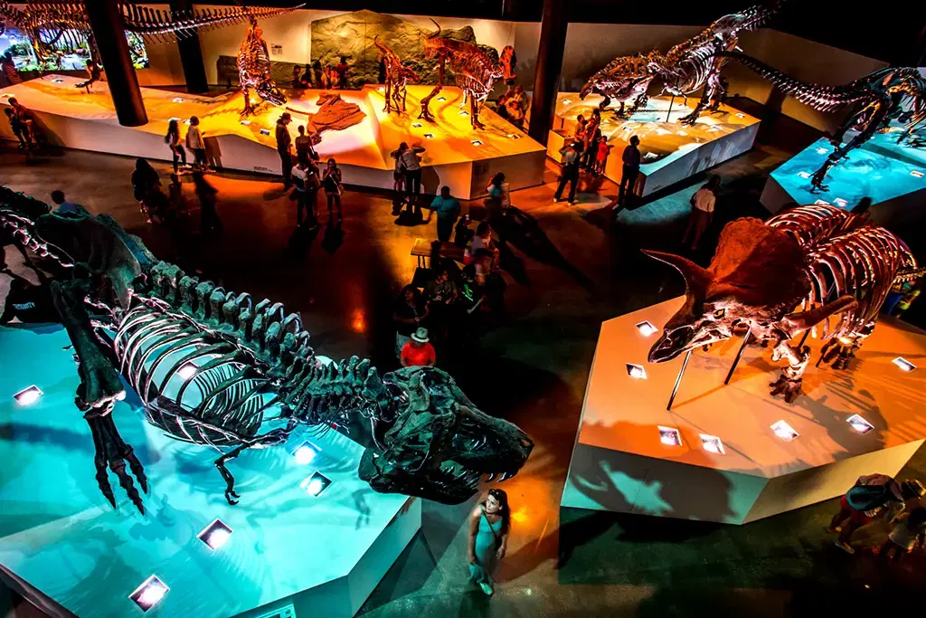 Houston Museum of Natural Science